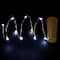 LED Bottle Stopper String Lights by Ashland&#x2122;